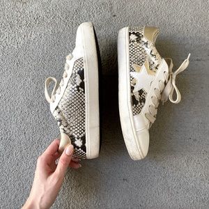STEVE MADDEN | Snakeskin Multi Sneaker | 8